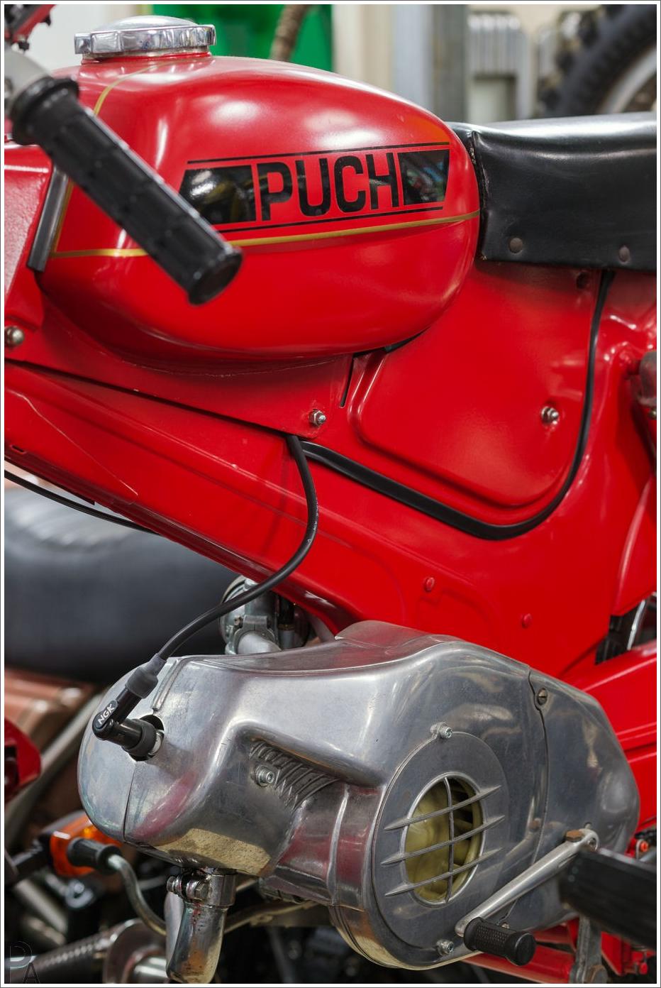 Puch-1969-50cc-PA100.jpg